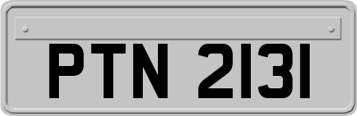 PTN2131