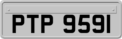 PTP9591