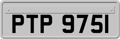 PTP9751