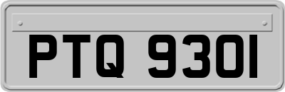 PTQ9301