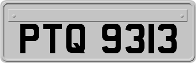 PTQ9313