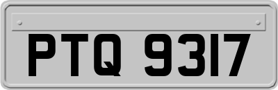 PTQ9317