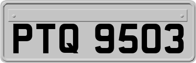 PTQ9503