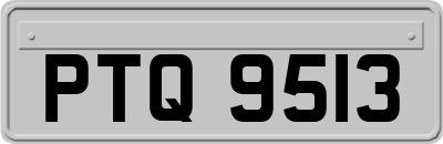 PTQ9513