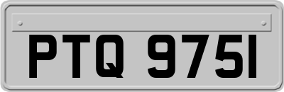 PTQ9751