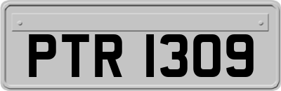 PTR1309