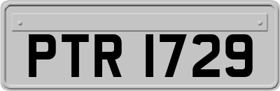 PTR1729