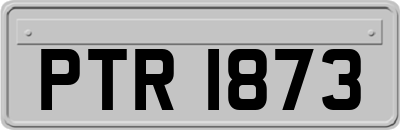 PTR1873