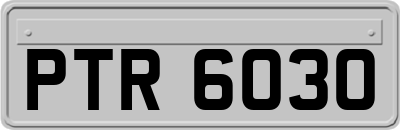 PTR6030