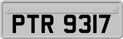 PTR9317