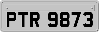 PTR9873