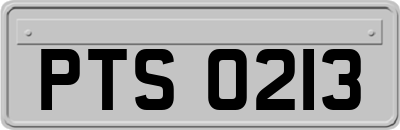 PTS0213