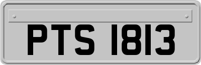 PTS1813