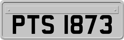 PTS1873