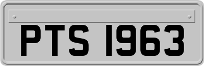 PTS1963