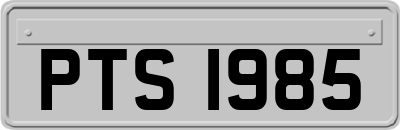 PTS1985