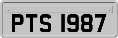 PTS1987