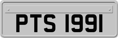 PTS1991