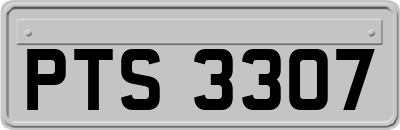 PTS3307