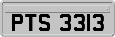 PTS3313