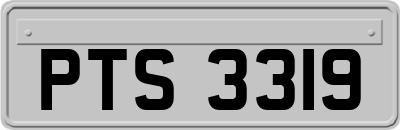 PTS3319