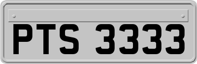 PTS3333