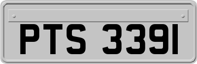 PTS3391