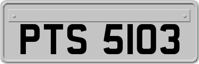 PTS5103