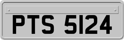 PTS5124