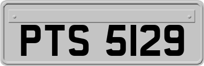 PTS5129