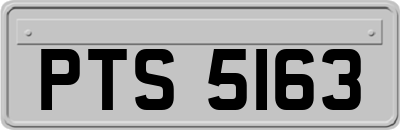 PTS5163