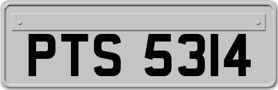 PTS5314