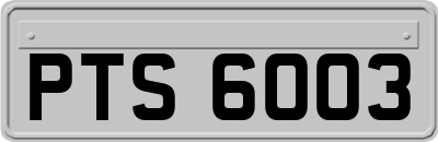 PTS6003