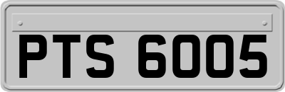 PTS6005