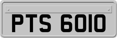 PTS6010