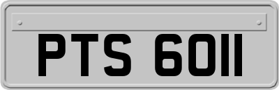 PTS6011