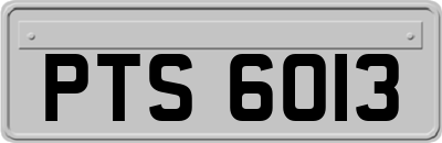 PTS6013