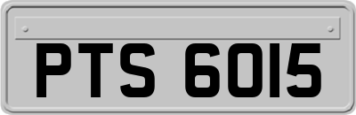 PTS6015