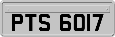 PTS6017