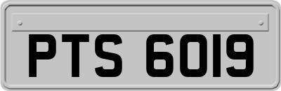 PTS6019