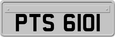 PTS6101