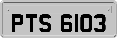 PTS6103