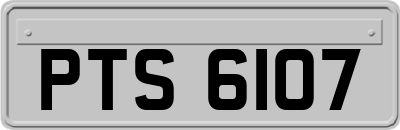 PTS6107