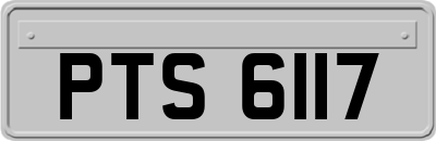 PTS6117