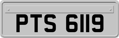 PTS6119