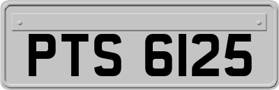 PTS6125