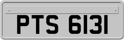 PTS6131