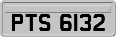 PTS6132