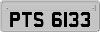 PTS6133