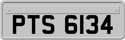 PTS6134